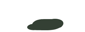dash