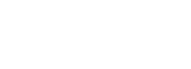 flyvesandet logo uden prikker hvid