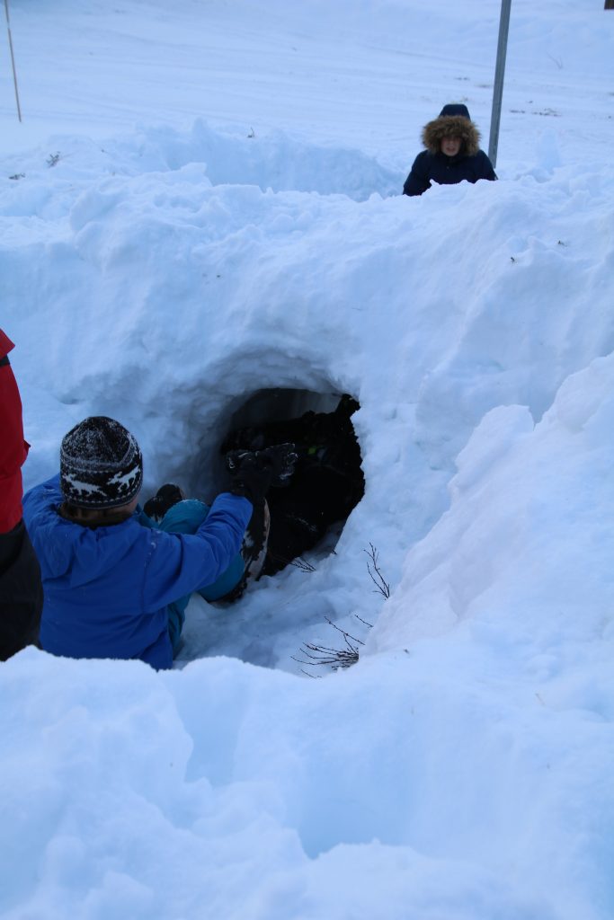 Elev kravler ind i en snehule under en vinter friluftsliv tur i Norge