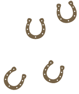 hestesko
